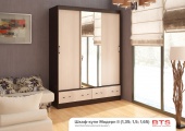 Шкаф-купе BTS Модерн-2 1,65 м